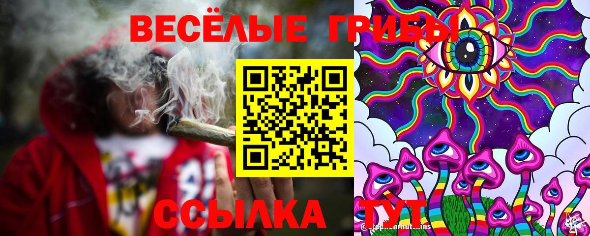 Псилоцибиновые грибы мицелий Советская Гавань