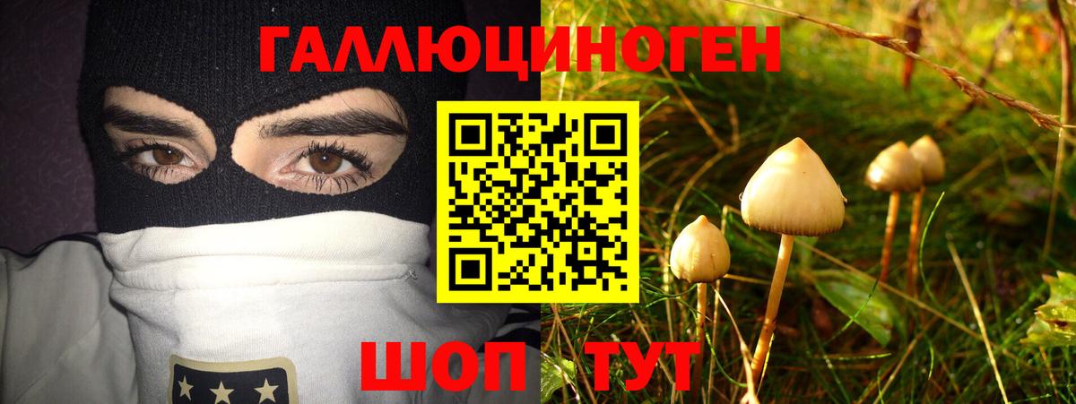 Псилоцибиновые грибы Cubensis  Псилоцибиновые грибы MAGIC MUSHROOMS  Советская Гавань  Вход с VPN 